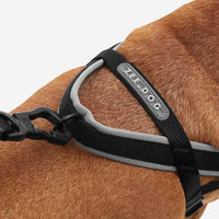 Zee.Dog SofterWalk Harness in Gotham colorway shown from an additional angle highlighting design details.