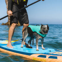 Close-up detail of Carolina Pet Company Body Glove neoprene pet life jacket showing strap and buckle construction.