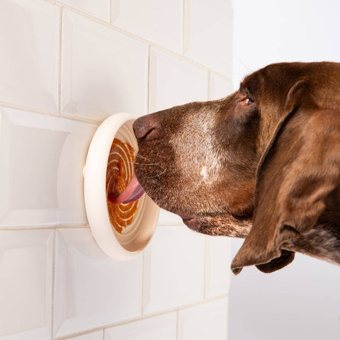 Awoo | Slow Feeder| Lick Dish