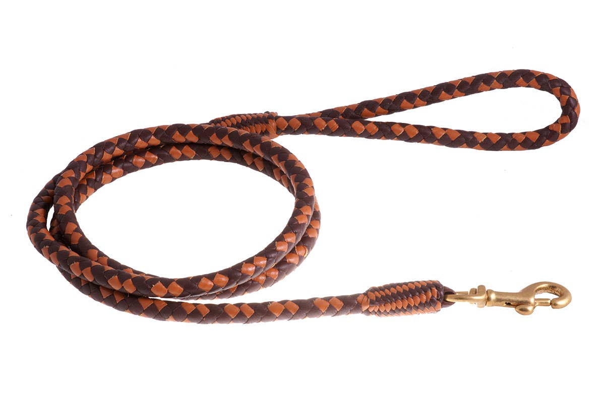Close-up detail of Alvalley braided leather snap lead showing intricate hand-braided craftsmanship and leather texture.
