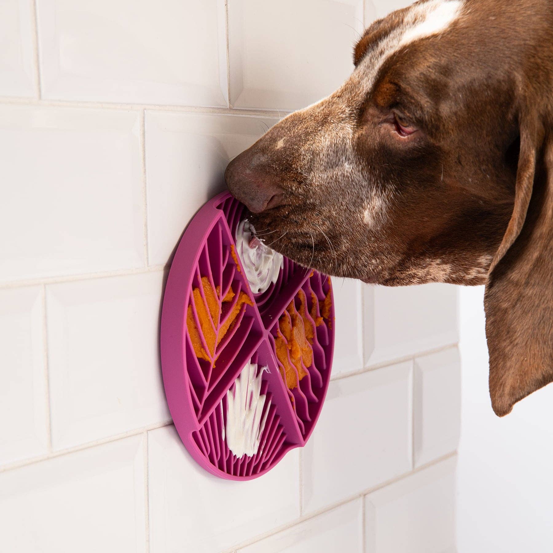 Awoo | Slow Feeder | Paradise Lick Mat