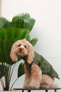 Pehom Pretzel Sweater dog apparel shown from a side angle highlighting fit and style.