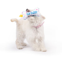 Tiny Tuff It's My Barkday Bone