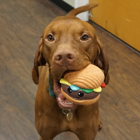 HuggleGroup Ruff-Tex Big Buns hamburger ball dog toy showing detailed latex construction and realistic burger design.
