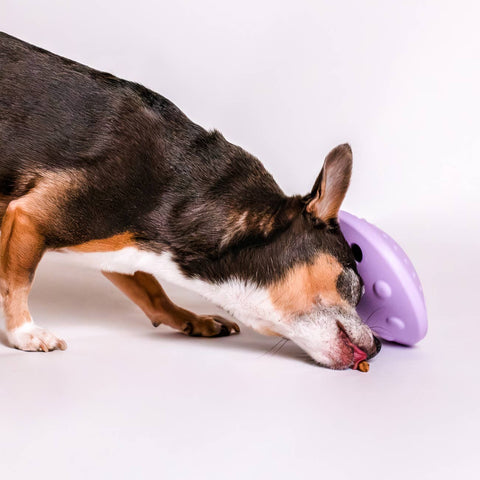 Awoo | Puzzle | Flying Saucer
