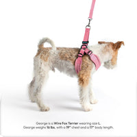 Gooby Escape Free Harness in soft pastel tones displayed as a complete product overview.