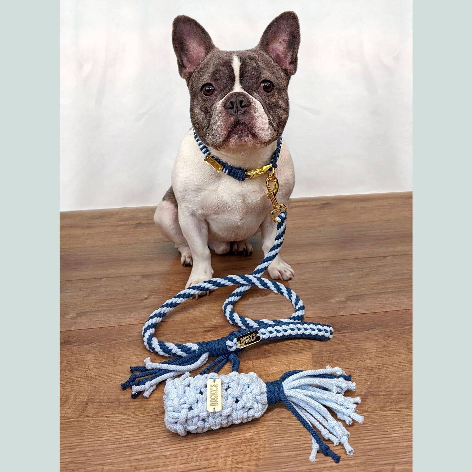 Make Your Own Dog Lead Craft Kit Blue