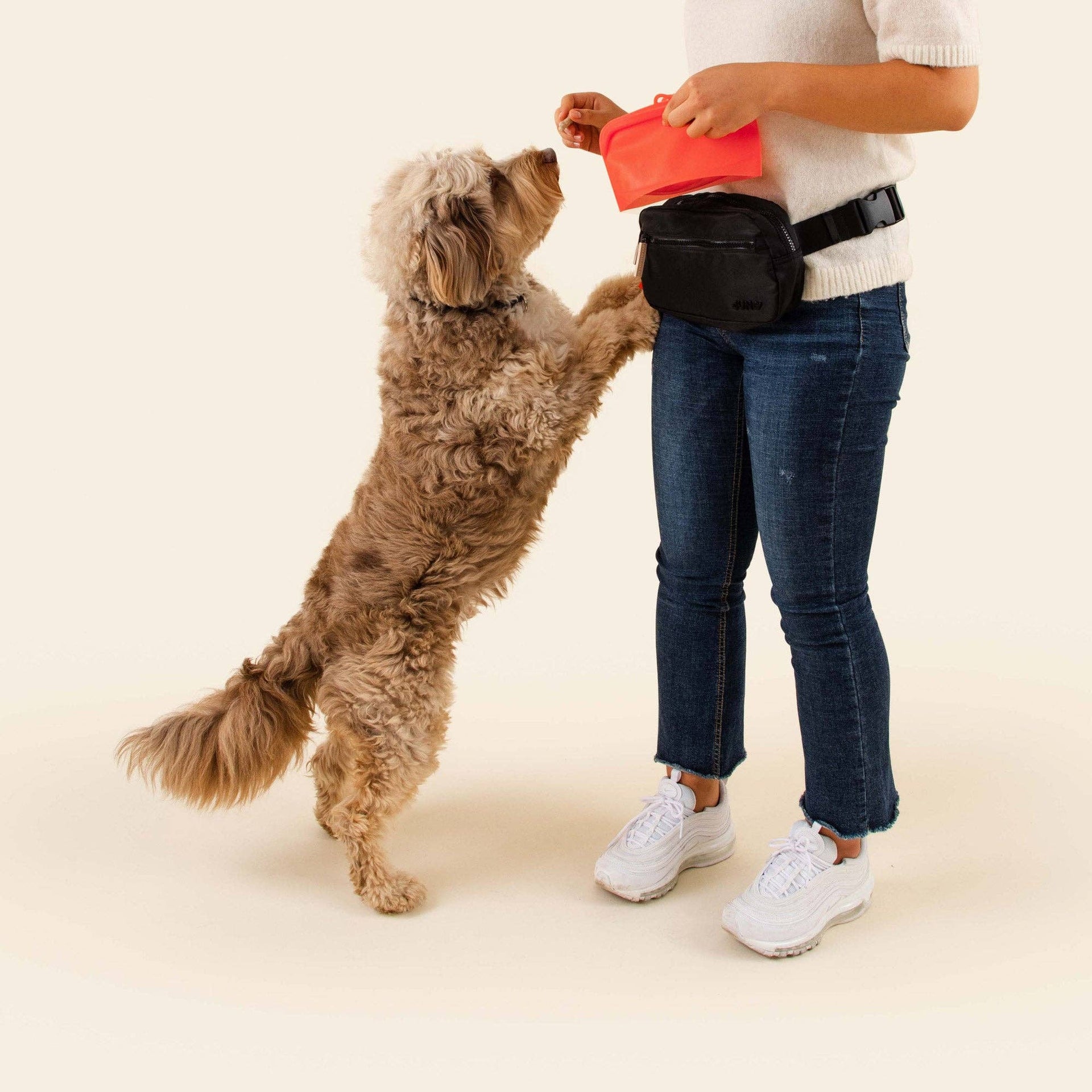 Juno - Doggy Dash Pack