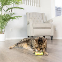 Huxley & Kent Sour Scratch Kats cat toy shown from multiple angles displaying candy-inspired colorful design details.