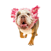 Dog Dish Axolotl Dog Snood in pink knit acrylic worn by a bulldog for a whimsical costume look