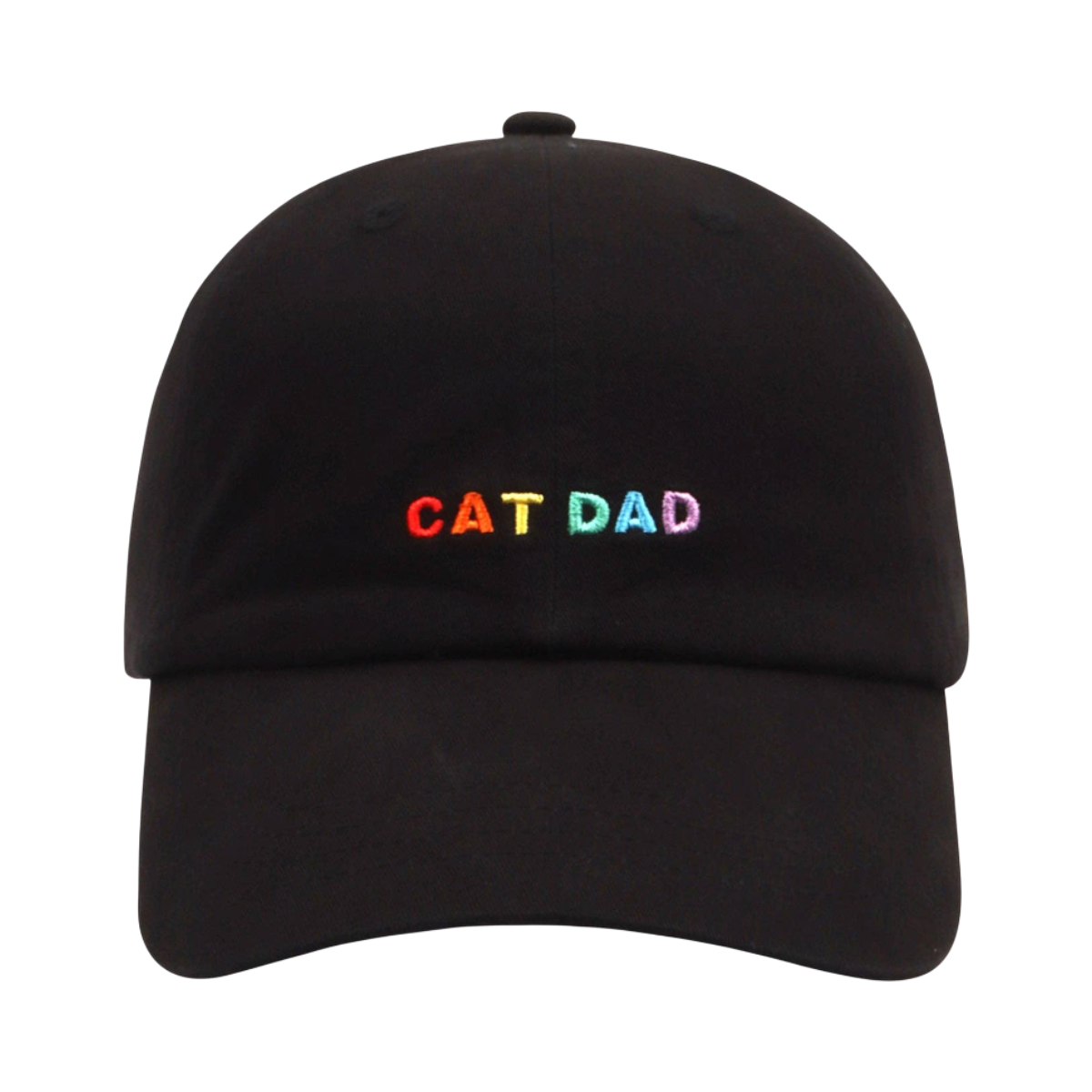 Dog Dish Cat Dad baseball cap in black cotton twill with rainbow embroidered lettering on the front
