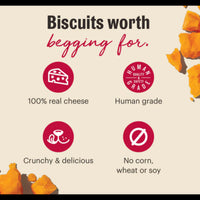 Dog Dish Honest Kitchen cheddar dog biscuits infographic highlighting real cheese, human grade, and grain-free ingredients.