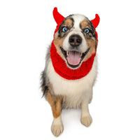 Dog Dish Devil Dog Snood featuring red knit fabric with devil horns worn by a blue-eyed Australian Shepherd dog