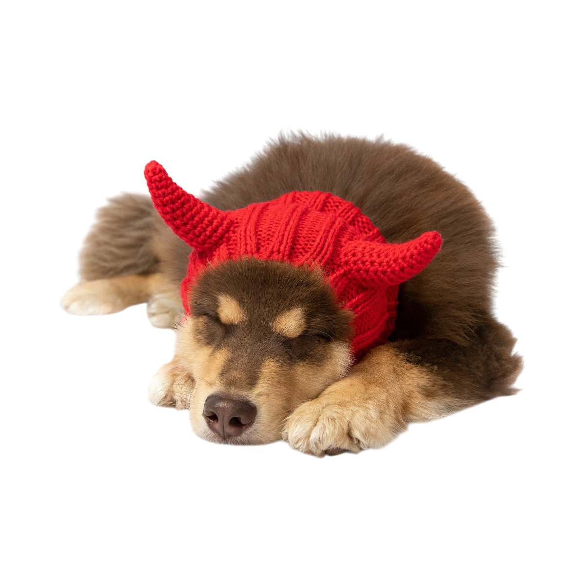 Dog Dish Devil Dog Snood in bright red acrylic knit with playful horns worn by a sleeping puppy