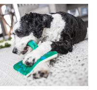 Dog Dish Fluff & Tuff Gordon Stingray plush toy being chewed by a black and white dog on a textured rug
