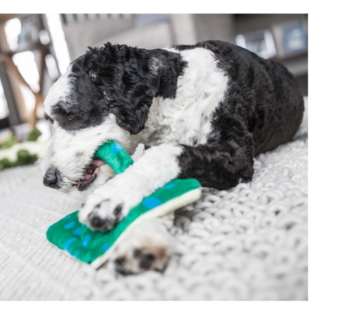 Dog Dish Fluff & Tuff Gordon Stingray plush toy being chewed by a black and white dog on a textured rug