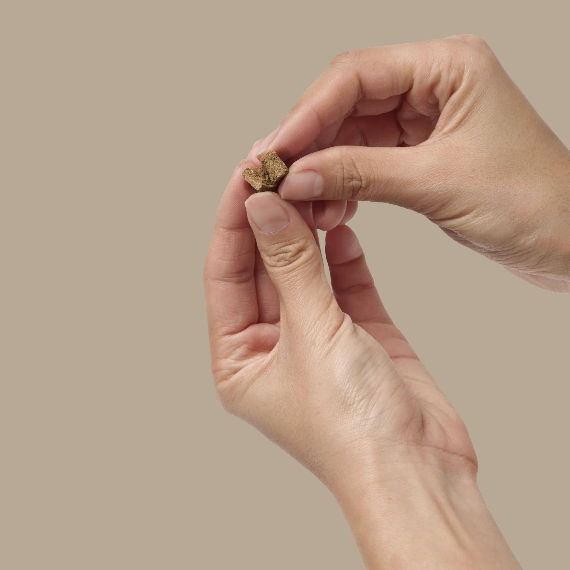 Dog Dish hands holding a small, brown, freeze-dried beef liver training treat for dogs.