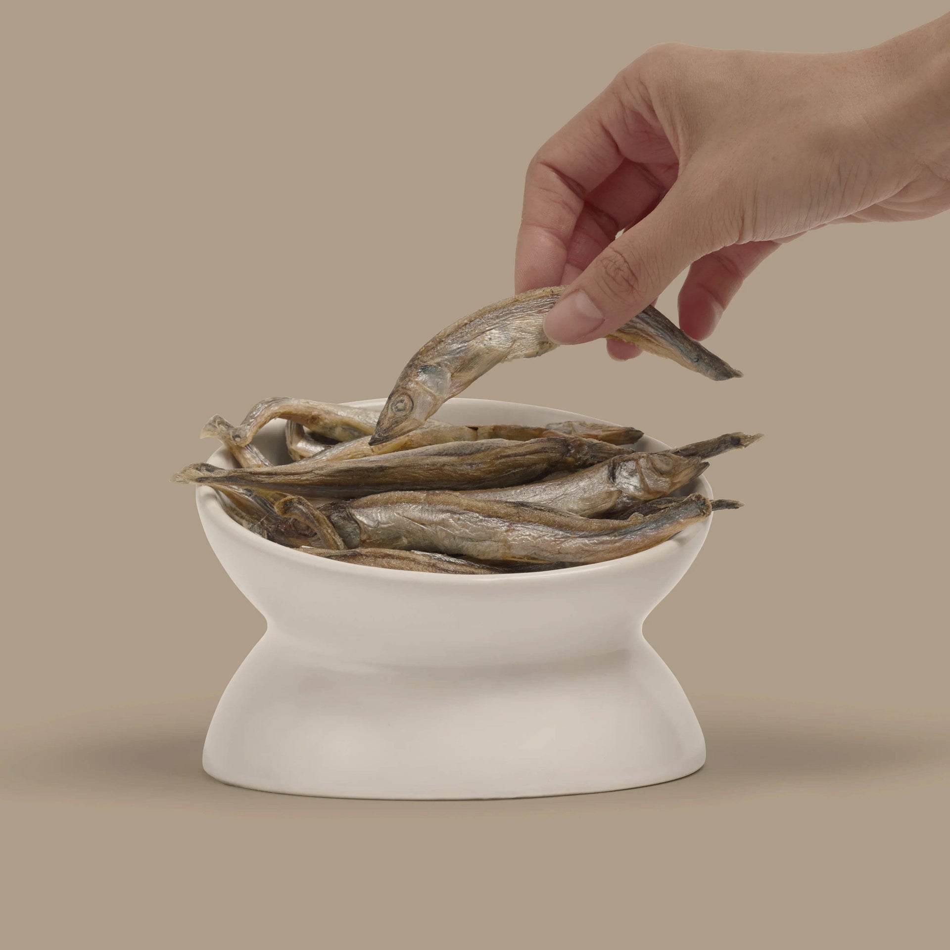 Dog Dish Max & Bella freeze-dried whole capelin fish treats being held over a white ceramic pet bowl
