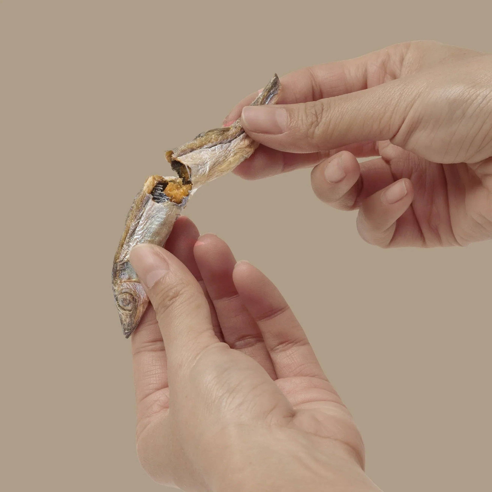 Dog Dish Max & Bella freeze-dried whole capelin fish treat being broken in half by hands to show crunchy texture.