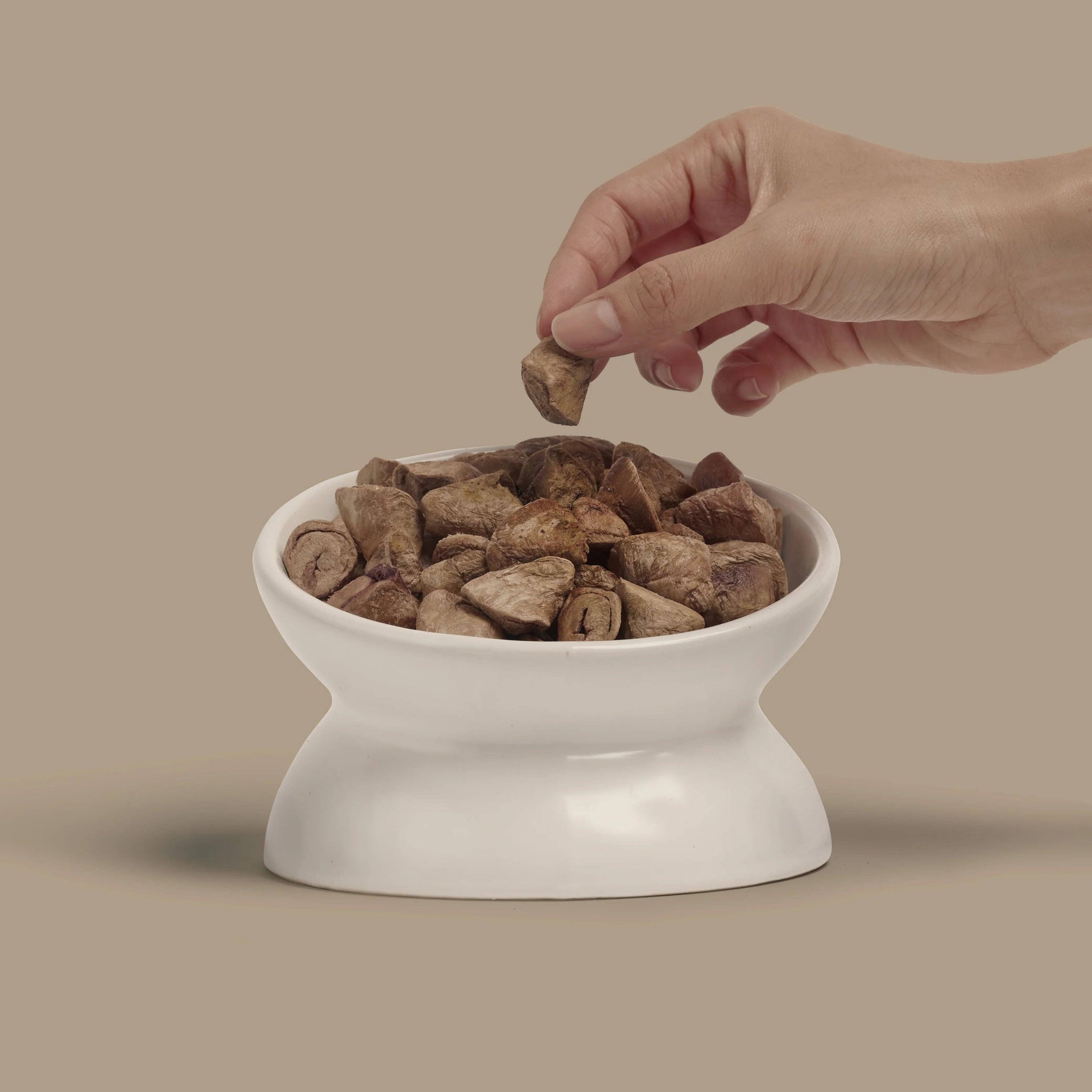 Dog Dish Max & Bella freeze-dried chicken heart treats being served in a white ceramic bowl by a human hand.