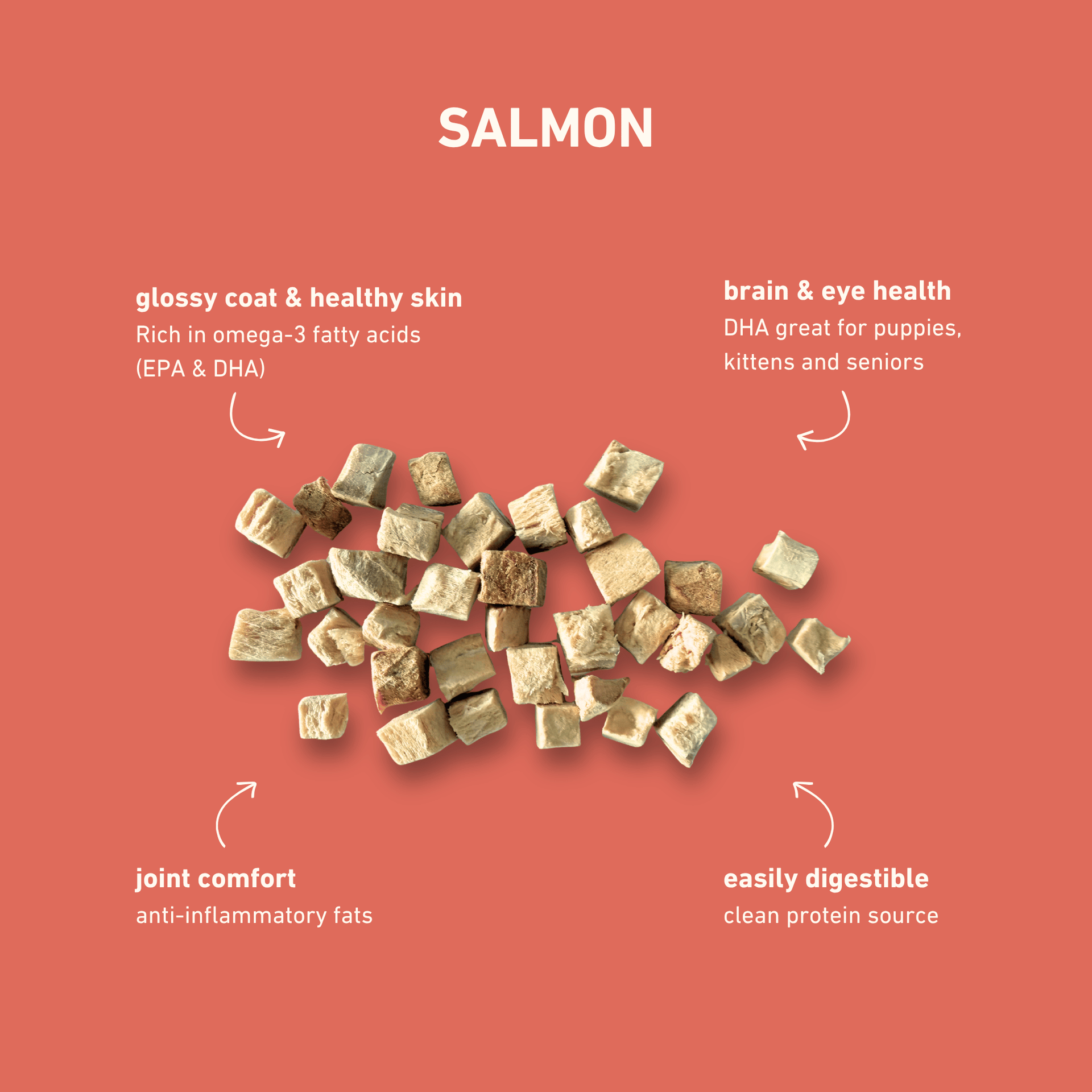 Dog Dish Max & Bella freeze-dried salmon treats on a coral background with health benefit labels for pets