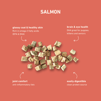 Dog Dish Max & Bella freeze-dried salmon treats on a coral background with health benefit labels for pets