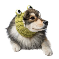 Dog Dish Frog Dog Snood in green knit acrylic worn by a fluffy dog, featuring cute frog eyes on top.