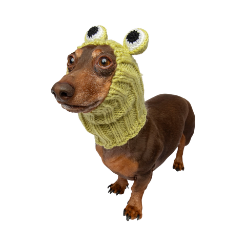 Dog Dish Frog Dog Snood worn by a dachshund, featuring a lime green knit design with cute frog eyes.