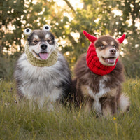 Dog Dish Frog Dog Snood and red devil horn snood worn by two dogs sitting in a grassy field