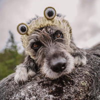 Dog Dish Frog Dog Snood made of green knit acrylic yarn worn by a scruffy dog resting on a rock outdoors