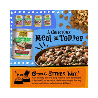 Dog Dish Fromm Frommbalaya beef stew wet dog food cans and a bowl of hearty beef and vegetable stew