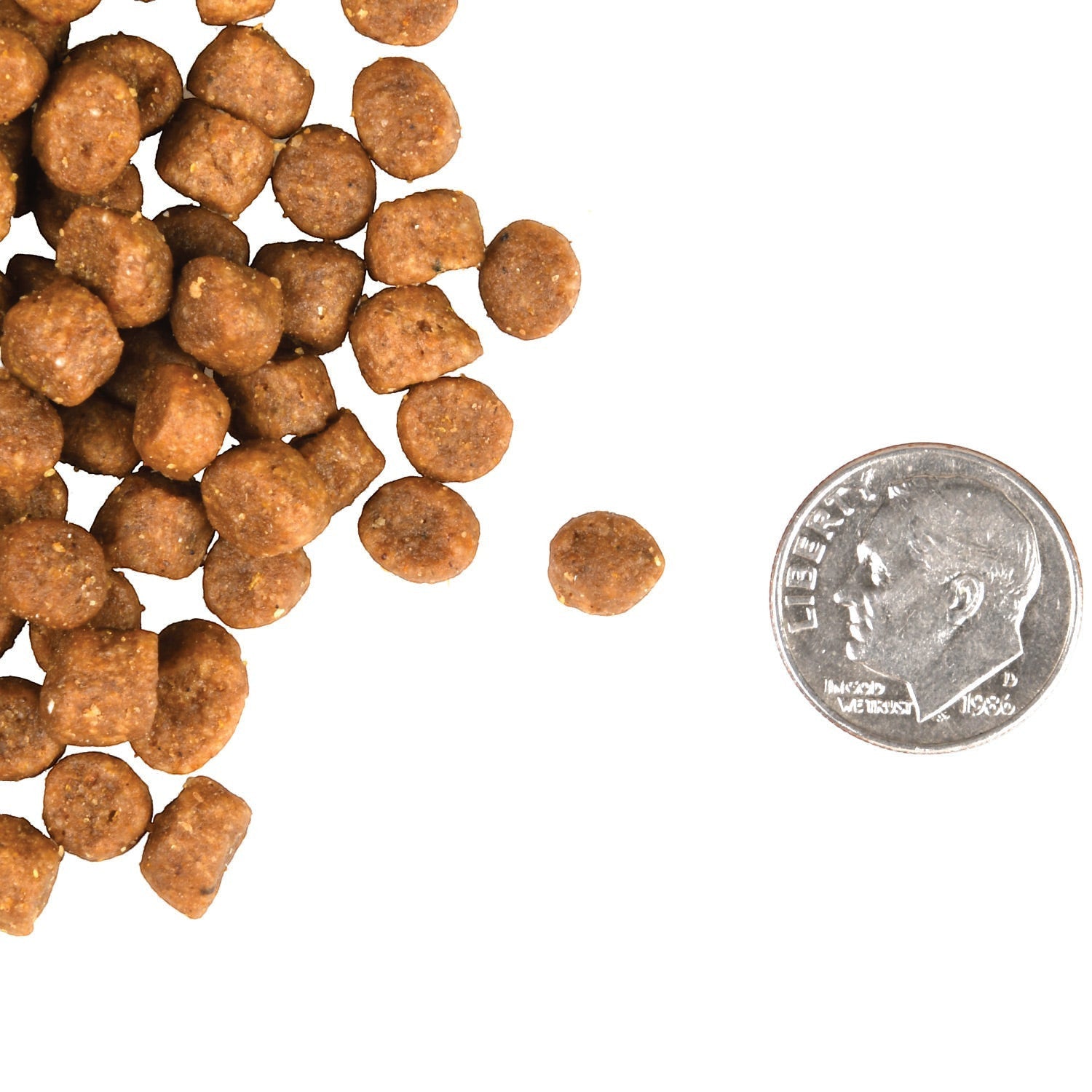 Dog Dish Fromm adult cat dry food kibble pieces shown next to a US dime for size reference.