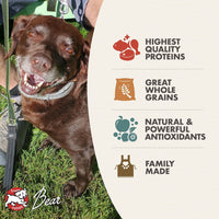 Dog Dish Fromm Classic Adult dog food benefits infographic featuring a happy chocolate Labrador on a green lawn.
