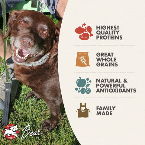 Dog Dish Fromm Classic Adult dog food benefits infographic featuring a happy chocolate Labrador on a green lawn.