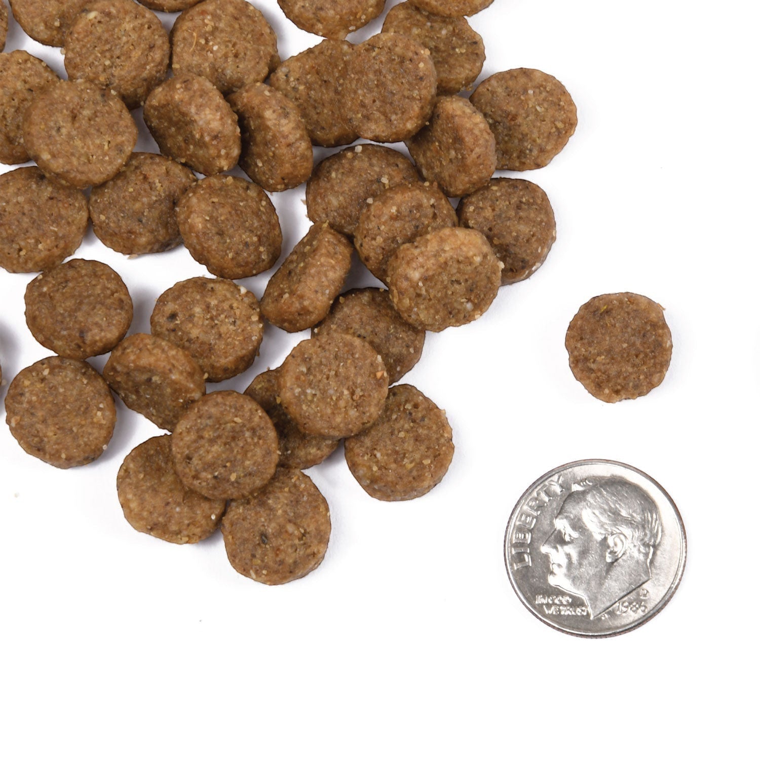 Dog Dish Fromm Classic Adult dry dog food kibble pieces shown next to a US dime for size reference.