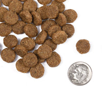 Dog Dish Fromm Classic Adult dry dog food kibble pieces shown next to a US dime for size reference.