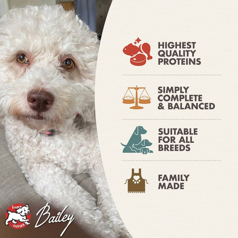 Dog Dish Fromm Classic adult dog food features a curly-haired dog next to nutritional benefit icons.