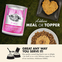 Dog Dish Fromm Classic Puppy chicken and salmon pate wet dog food can with serving suggestions on green grass background
