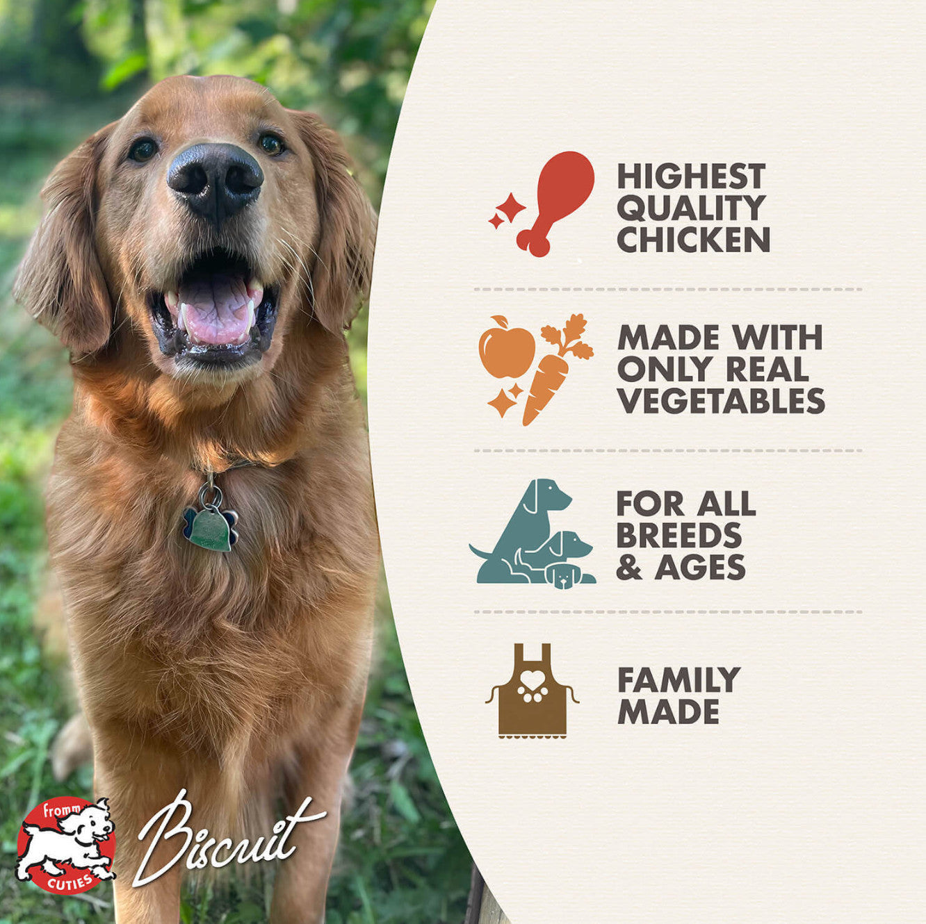 Dog Dish Fromm Family Recipes Frommbalaya wet dog food features chicken and vegetables for all breeds and life stages