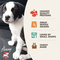 Dog Dish Fromm Gold Puppy food features high-quality proteins and whole grains, showcased with a cute black and white puppy.