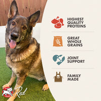 Dog Dish Fromm Gold Senior dog food benefits infographic featuring a happy German Shepherd on green turf