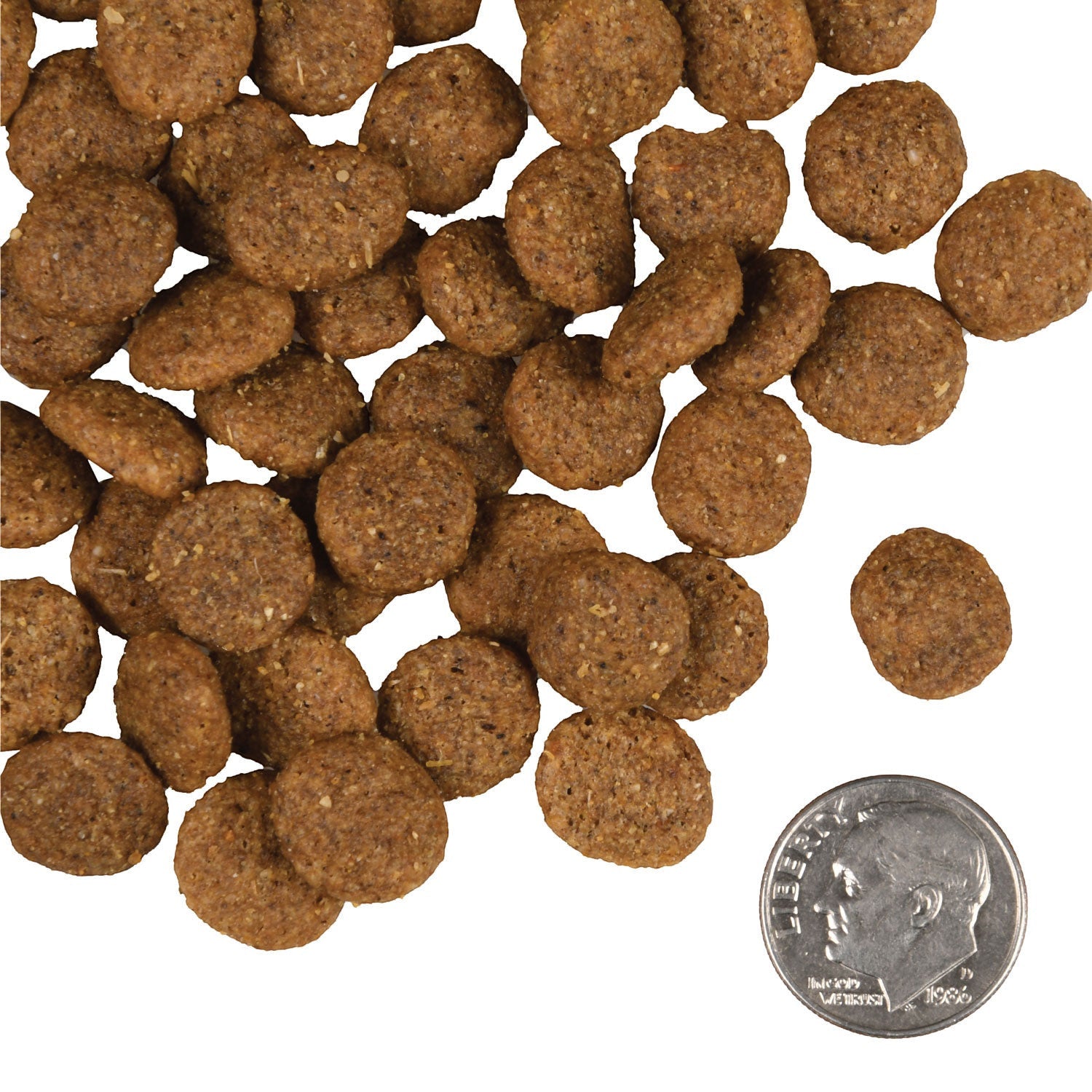 Dog Dish Fromm Gold Senior dry dog food kibble pieces shown next to a US dime for size reference.