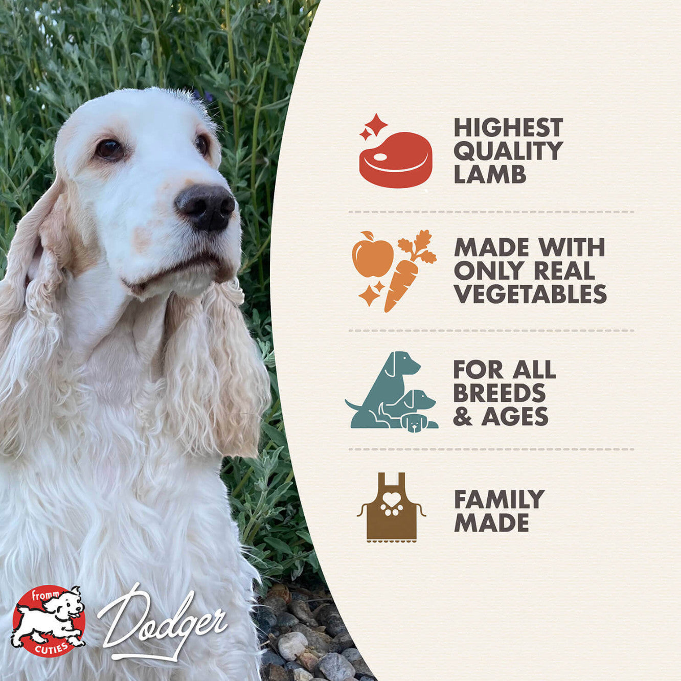 Dog Dish Fromm lamb stew dog food features a white spaniel and nutritional benefits list on a cream background.