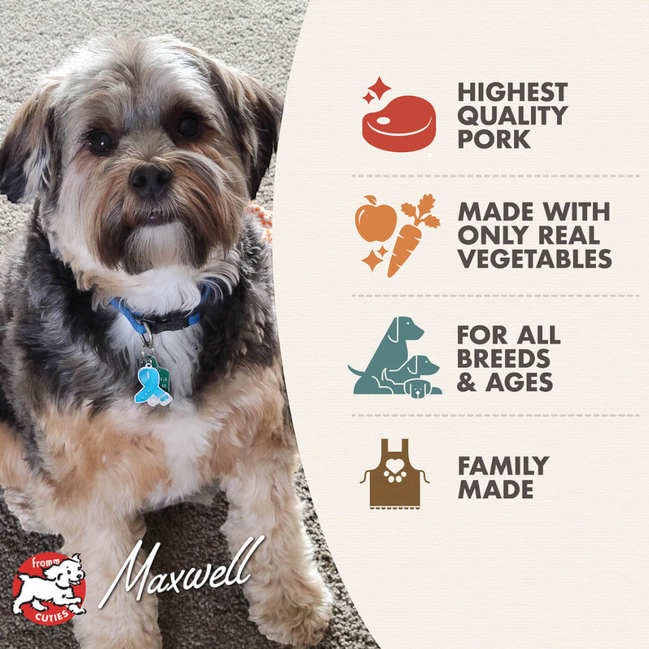 Dog Dish Fromm pork stew for dogs featuring a cute dog and icons highlighting premium ingredients and family recipe.