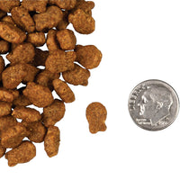 Dog Dish Fromm Salmon Tunachovy dry cat food kibble shaped like fish next to a US dime for size reference