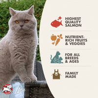Dog Dish Fromm Salmon Tunachovy cat food advertisement featuring a grey British Shorthair cat and ingredient icons.