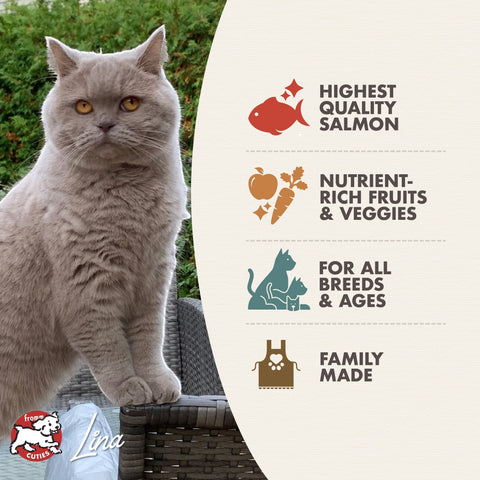 Dog Dish Fromm Salmon Tunachovy cat food advertisement featuring a grey British Shorthair cat and ingredient icons.