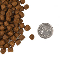 Dog Dish Fromm Surf & Turf grain-free cat food kibble pieces shown next to a US dime for size reference
