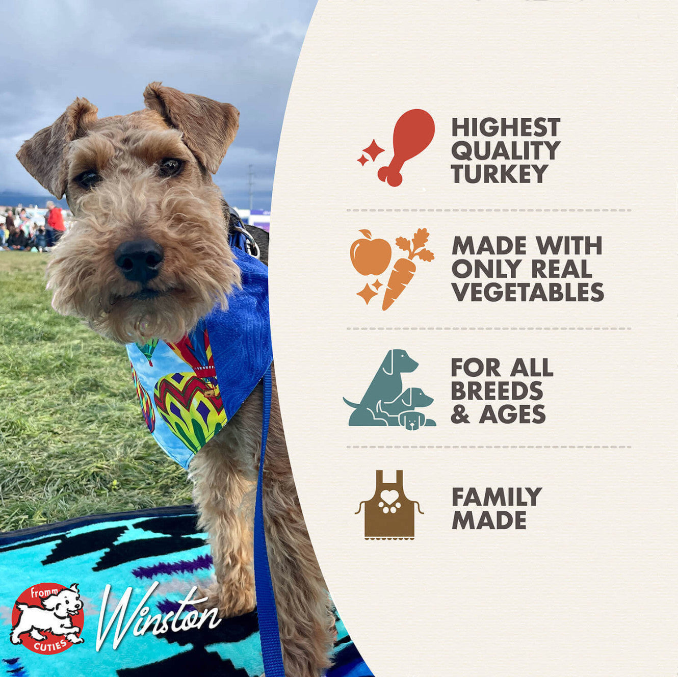 Dog Dish Fromm turkey stew advertisement featuring a terrier wearing a hot air balloon bandana on a grassy field