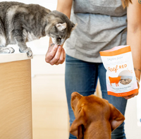 Dog Dish brand Green Juju Beef Red Bites freeze-dried treats being fed to a cat and dog by a person